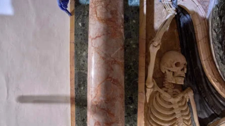 TimesNowNews English