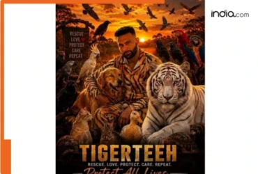 India English
