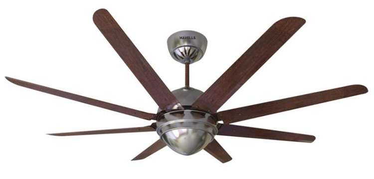 5 Best Designer Fans For Indian Homes Kart Com Dailyhunt This Holds True With The Havells Octet Ceiling Fan It Is A Brushed Nickel Coloured Which Quite Appealing To Eyes Aerodynamic Design Provides