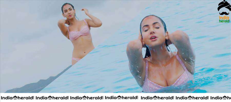 sonal chauhan bikini