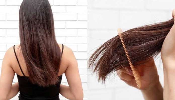 5 Easy Home Remedies To Get Rid Of Split Ends Lifeberrys English