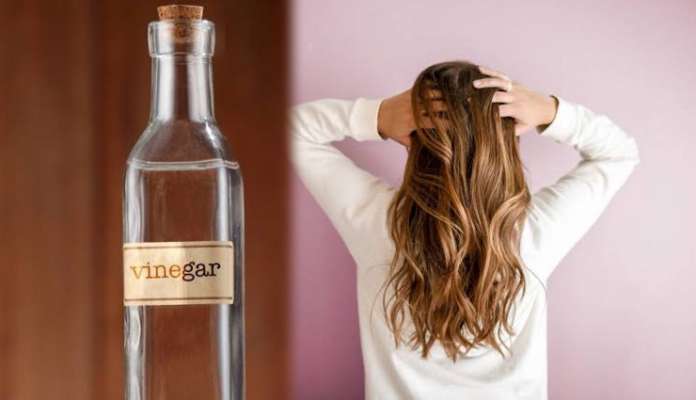 Home Remedies To Get Rid Of Hair Lice Lifeberrys English Dailyhunt