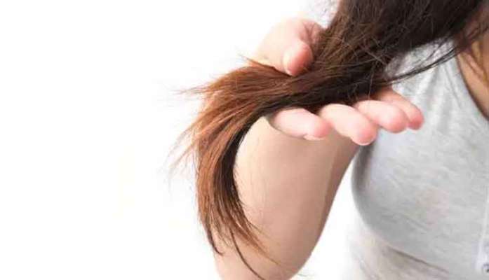 Top 3 Tips To Get Rid Of Split Ends Naturally Odishatv Dailyhunt