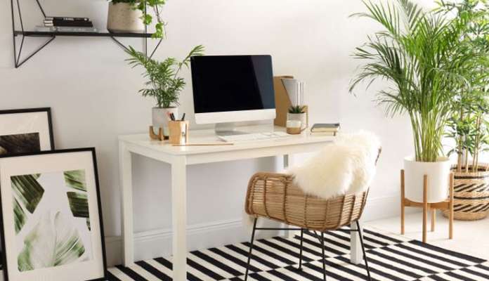 5 Vastu Tips To Help You Set Up Office At Home Lifeberrys