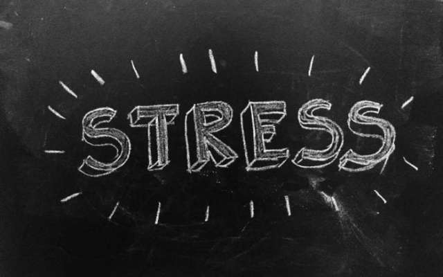 Researchers Decode How Stress Turns Hair White The Federal