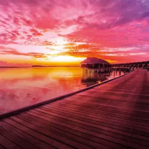 Good Evening