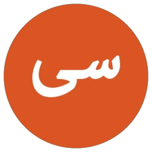 سیاست
