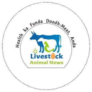 Live Stock Animal News