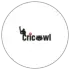 CricOwl