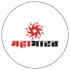 महाभारत News