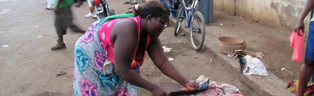 Banning bushmeat could make it harder to stop future pandemics