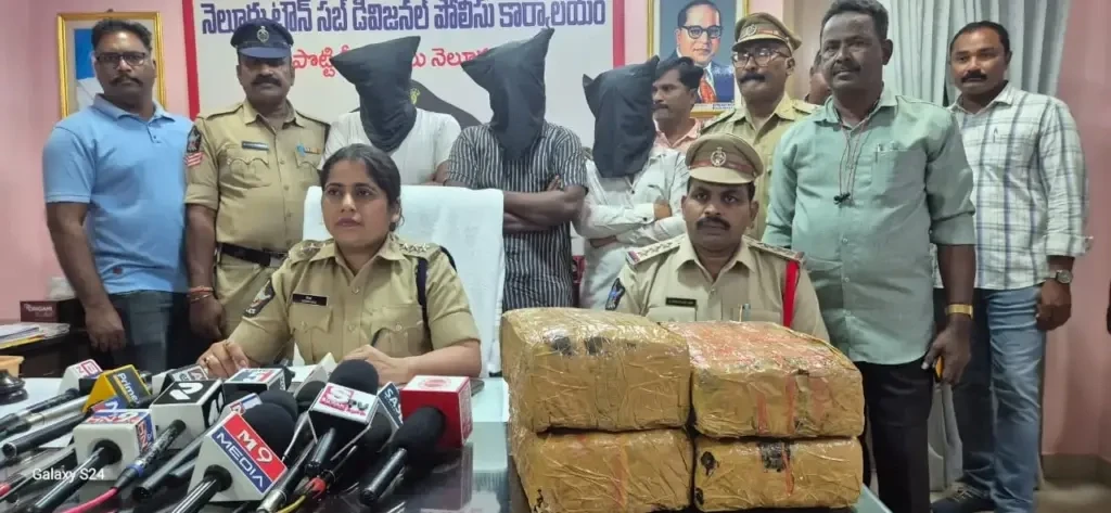 Drug Bust Nellore: గంజాయి విక్రయ ముఠా అరెస్ట్