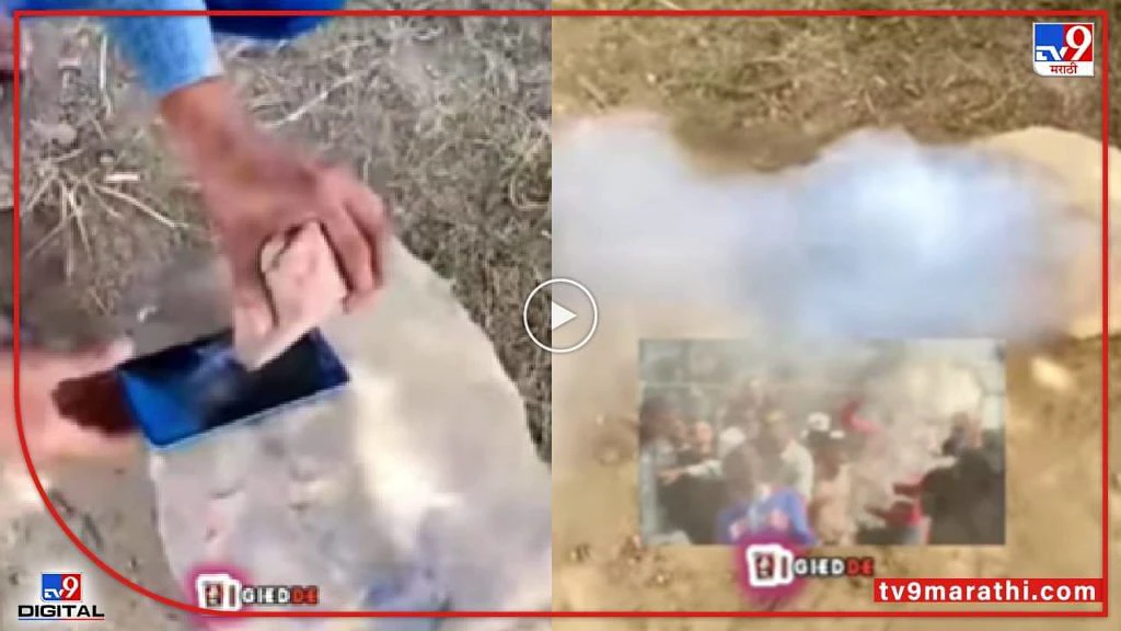 Video : हजारो रूपयांच्या मोबाईलचा दगडाने ठेचून चुराडा! पुढच्या क्षणी धुराचे लोट, पाहा नेमकं काय घडलं.