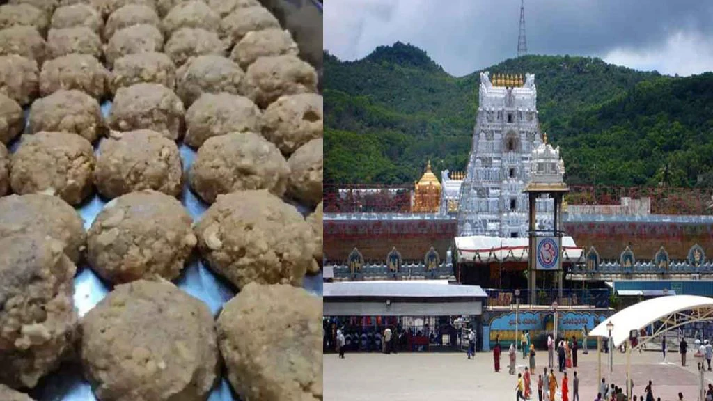 Tirupati Laddu Controversy: తిరుమల లడ్డూ వ్యవహారంపై సిట్ దర్యాప్తు వేగవంతం..