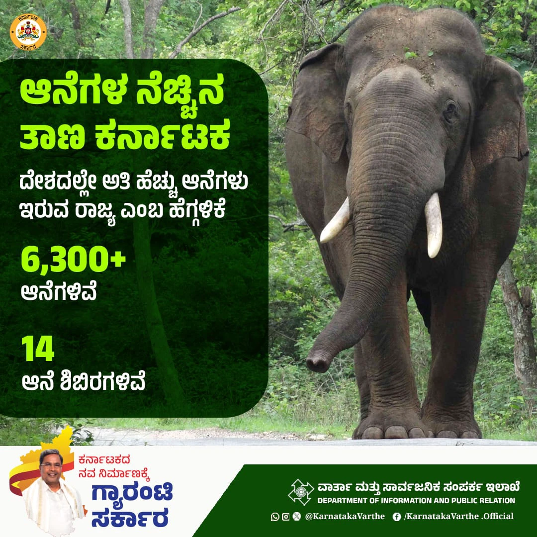 ದೇಶದಲ್ಲೇ ಅತಿ ಹೆಚ್ಚು ಆನೆಗಳು ಇರುವ ರಾಜ್ಯ ಎಂಬ ಹೆಗ್ಗಳಿಕೆಗೆ ಕರ್ನಾಟಕ ಪಾತ್ರ
