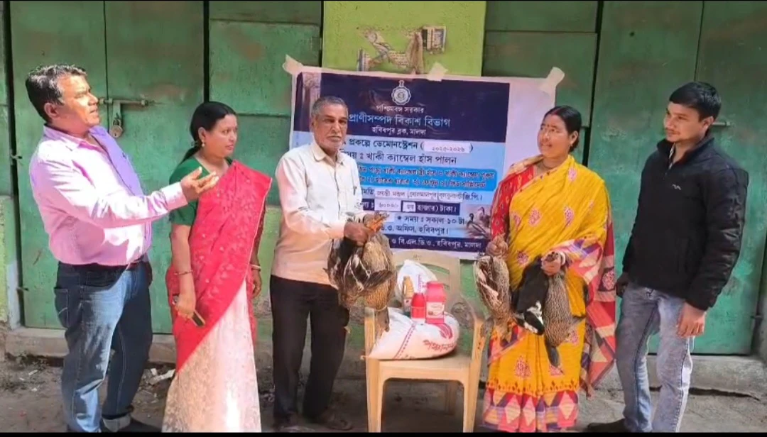 হবিবপুরে প্রাণীসম্পদ বিকাশ দফতরের উদ্যোগে খাকী ক্যাম্পবেল হাঁস বিতরণ