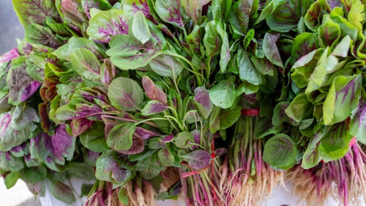 55 की उम्र में भी भाग्यश्री की फिटनेस का राज है यह कैल्शियम से भरपूर हरी सब्जी