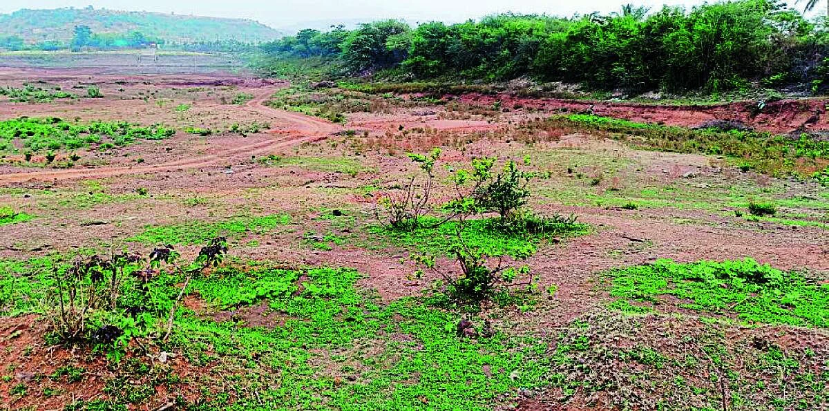 ಚಿಕ್ಕೋಡಿ: ಕಾಯಕಲ್ಪಕ್ಕೆ ಕಾದಿದೆ ಶತಮಾನದ ಕೆರೆ