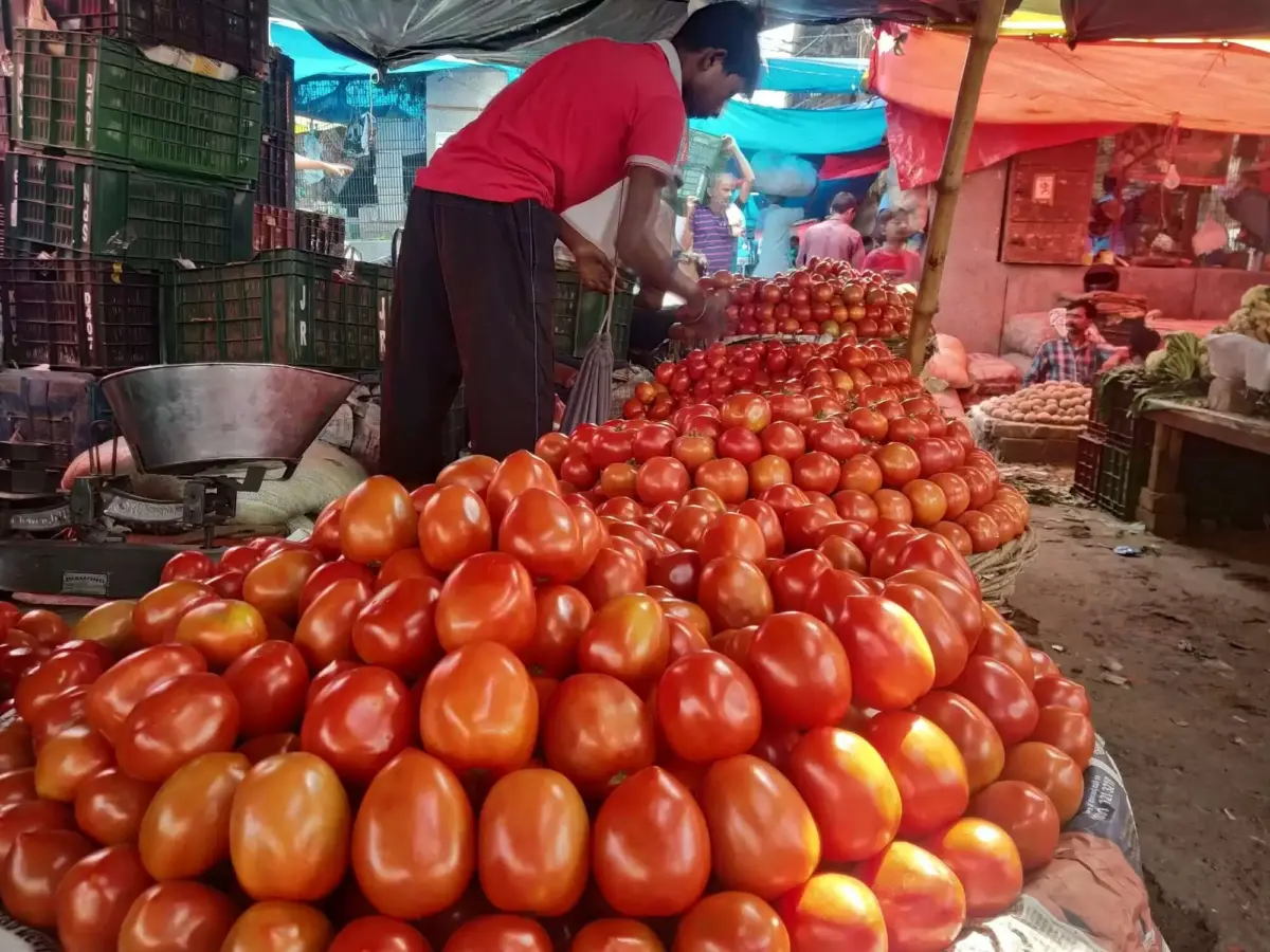 தக்காளி விலை கிடுகிடு உயர்வு! ரூ.50-ல் இருந்து ரூ.70-ஆக அதிகரிப்பு