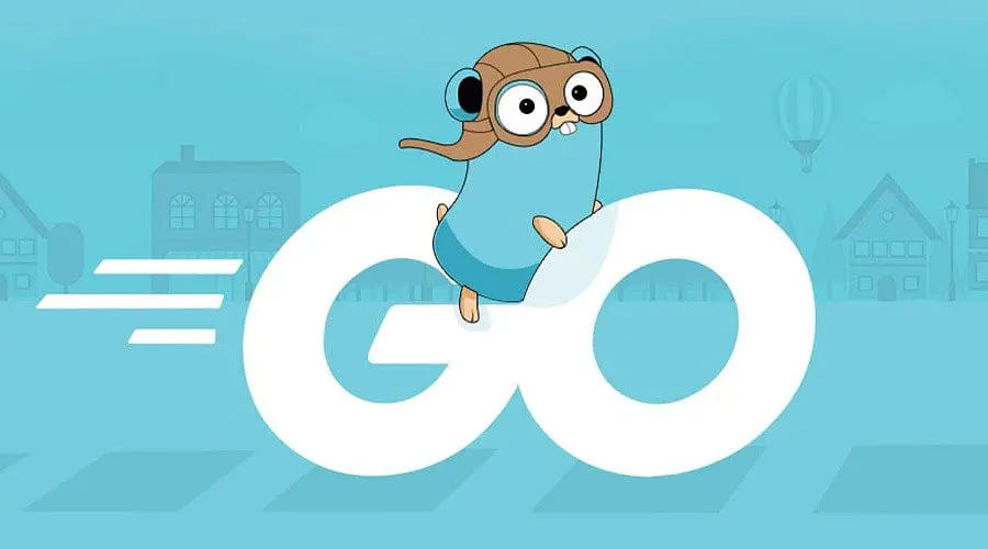 Best Golang Interview Questions for Freshers and Experienced Developers ...