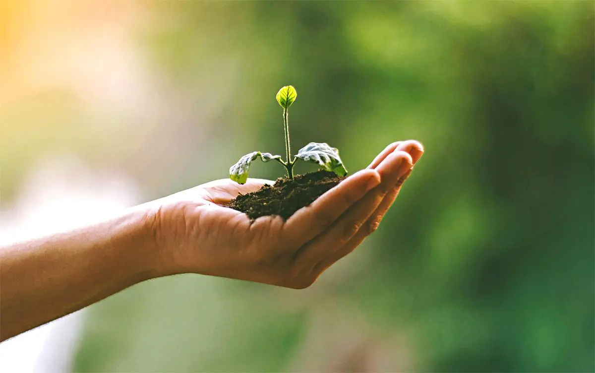 10 Simple Ways To Protect Planet Earth | Dailyhunt