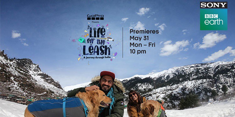 life of the leash bbc earth