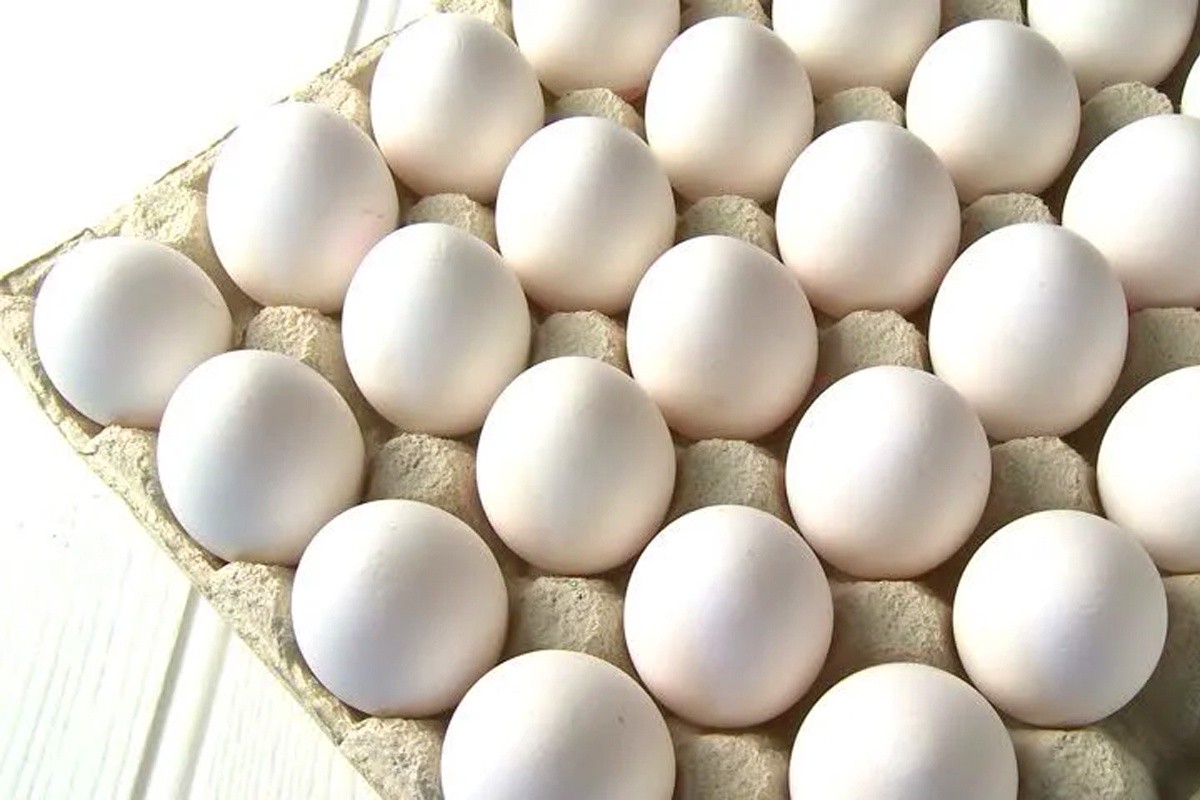 Eggs 4pda. Egg Tray. Сборная модель Eggs. Egg225. Egg White.