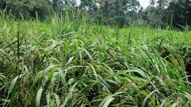 💓 ജീവിത പാഠങ്ങള്‍ - ShareChat