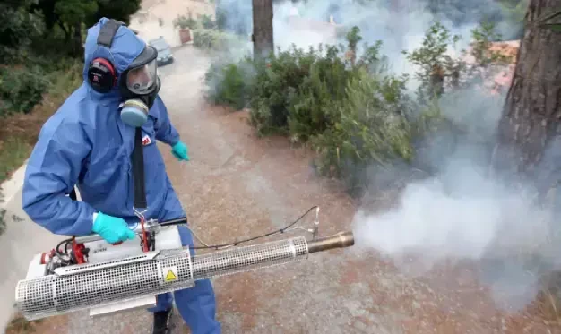 Best Household and Public Health Insecticides: A Comprehensive and Safe ...
