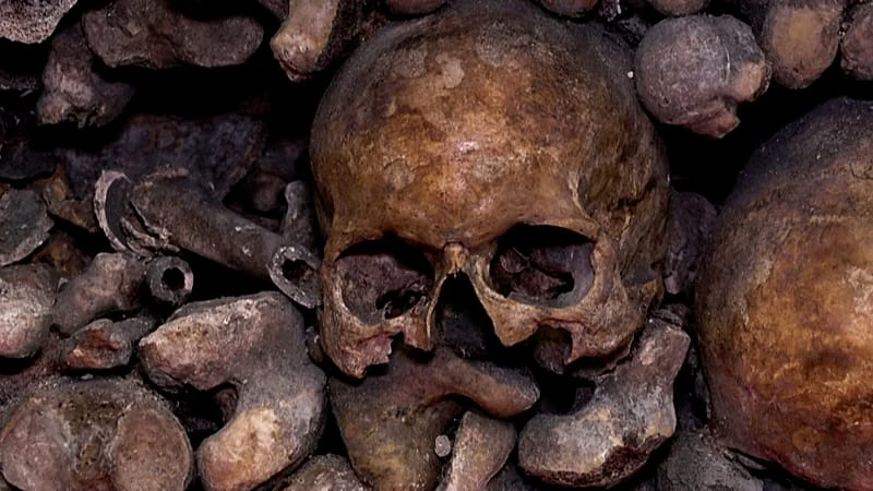 Paris catacombs to reopen in 2026 after major safety renovation