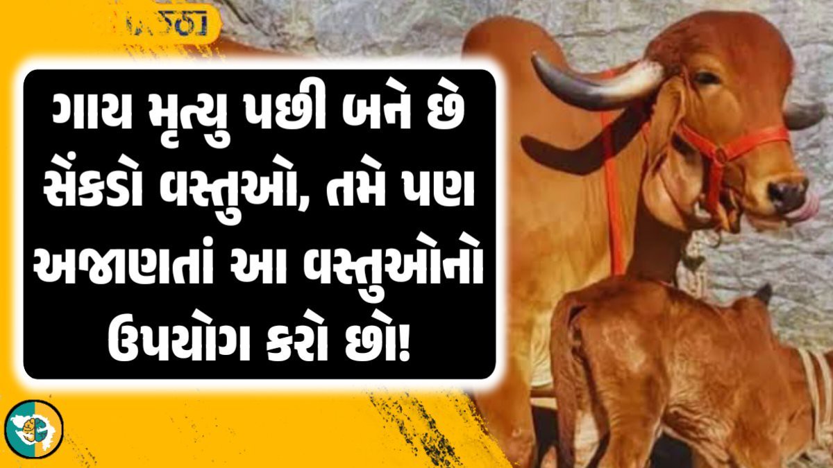 ✍️ જીવન કોટ્સ - ShareChat