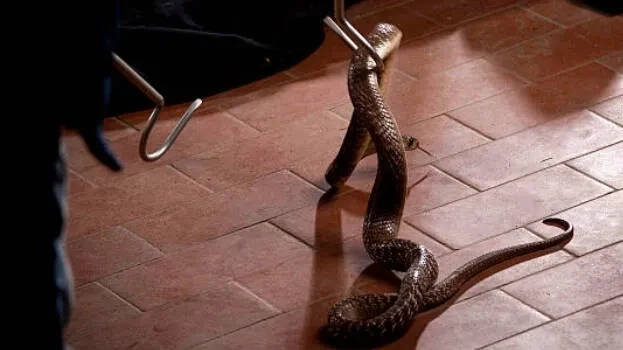 💓 ജീവിത പാഠങ്ങള്‍ - ShareChat