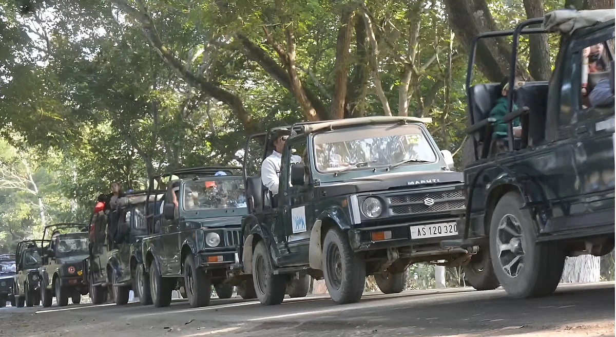 Year-End Tourist Rush Overwhelms Kaziranga as Jeep Safari Demand Rises ...