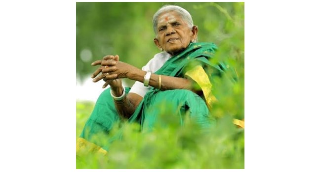 🌳💔ಸಾಲುಮರದ ತಿಮ್ಮಕ್ಕ ನಿಧನ: ಮರೆಯಾದ ವೃಕ್ಷಮಾತೆ😭🌳 - ShareChat