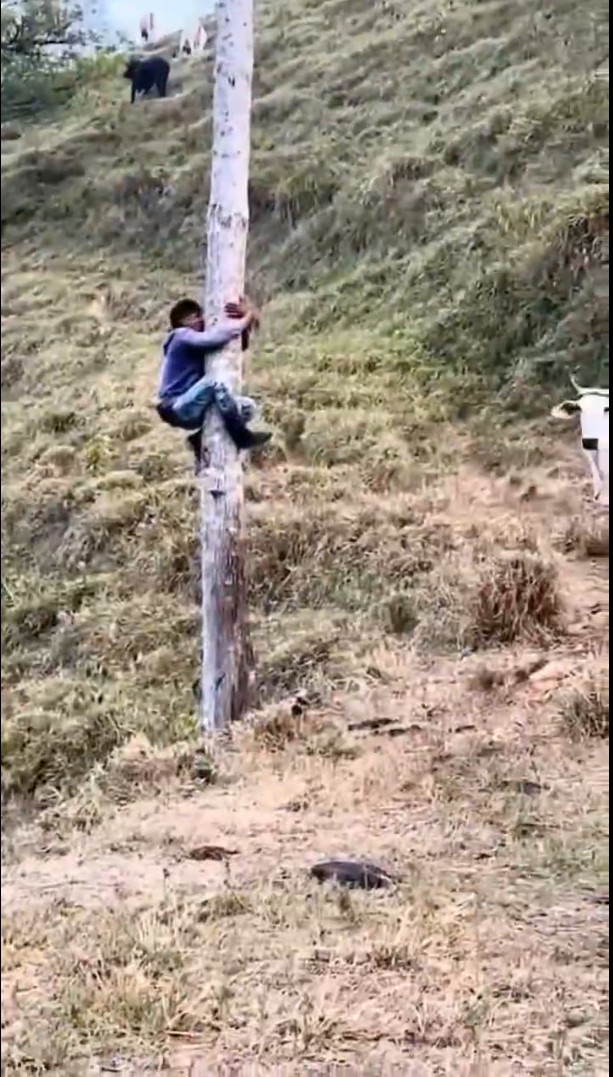 😇My Status - ShareChat