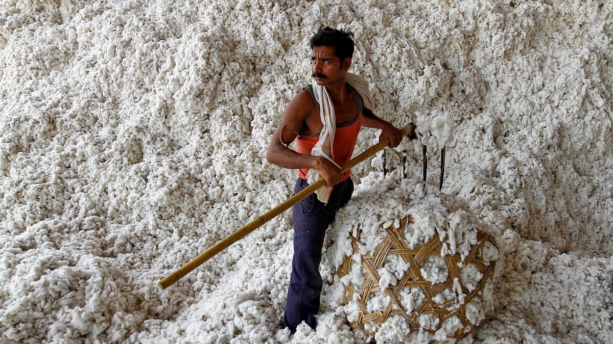 Centre launches Rs 5,659 crore mission to boost cotton productivity