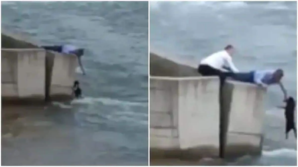 Viral Video: Man Leaves Wedding To Save Dog From Drowning, Internet Hails Him as Hero. Watch