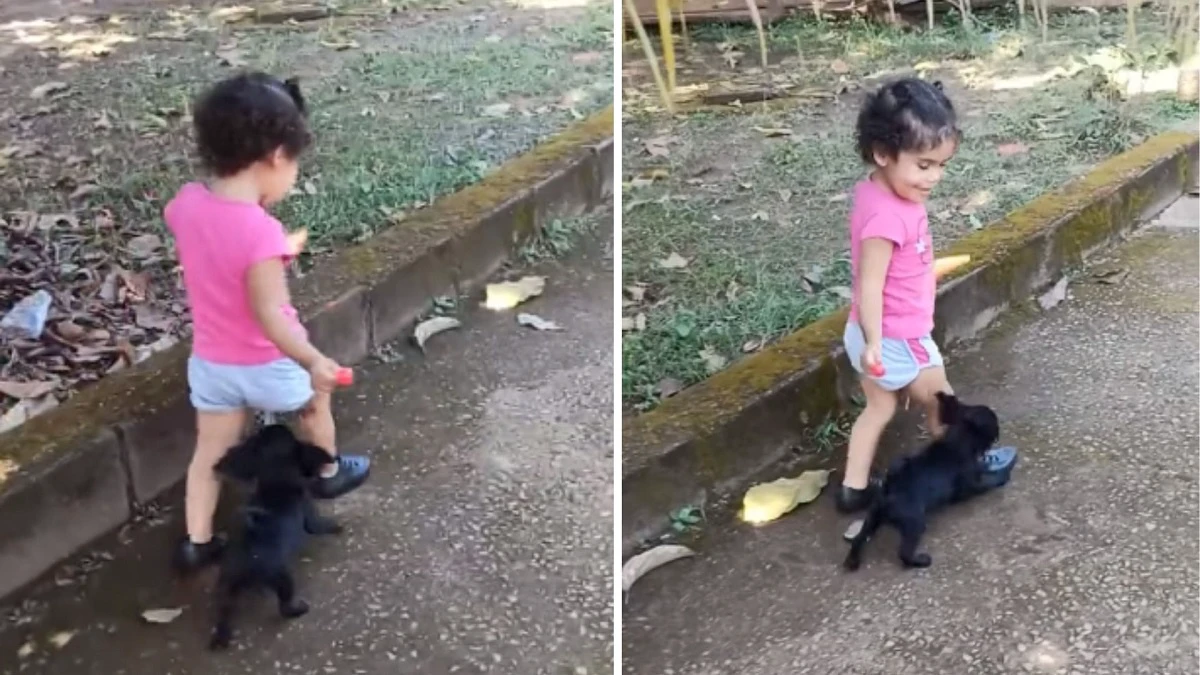 Puppy distracts little girl and steals her candy in viral video. This is what happened next