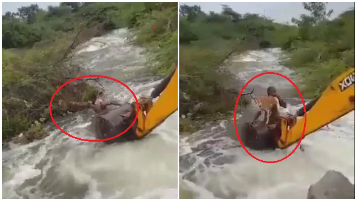 Telangana home guard risks his life to rescue dog stuck in overflowing stream. Watch video