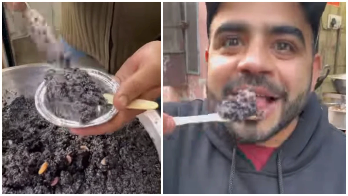 Food blogger tries Lucknow street vendor's Kali Gajar Ka Halwa in viral video. That's cement, says Internet