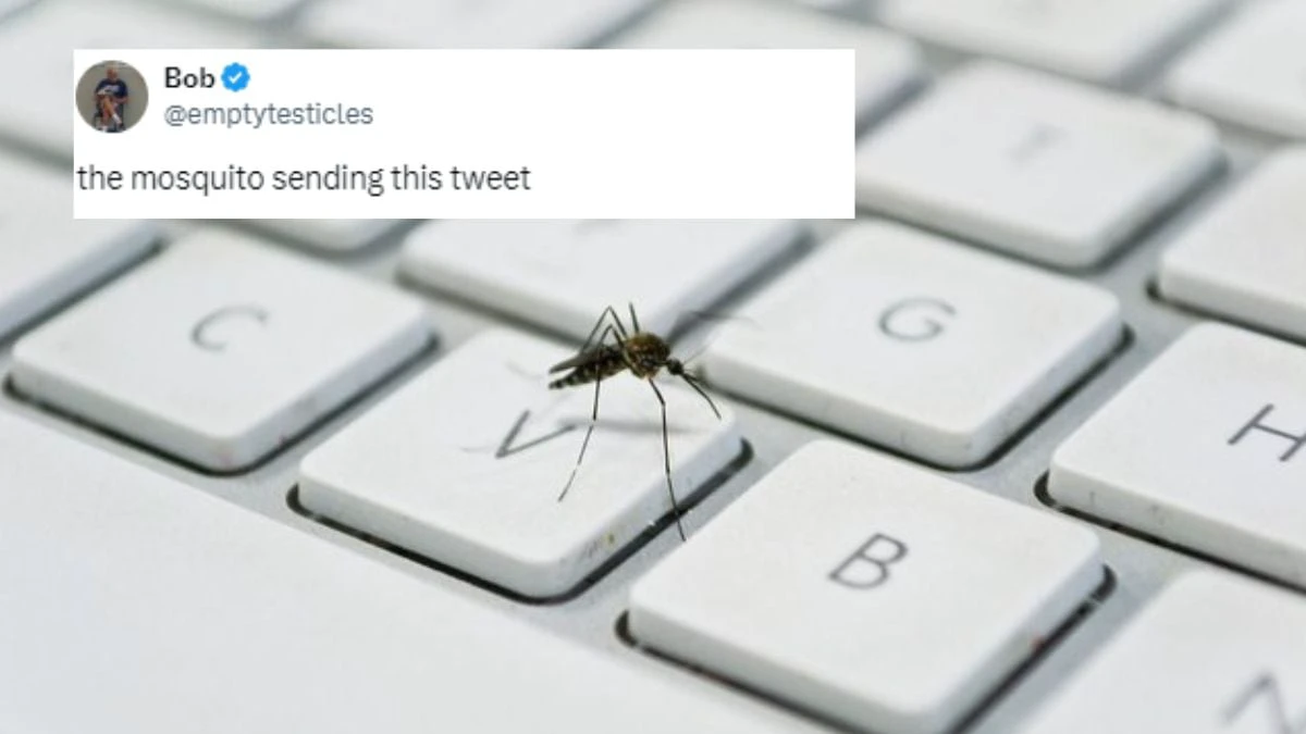 Photo Of Mosquito 'Sending Tweet' Goes Viral With More Than Three Million Views