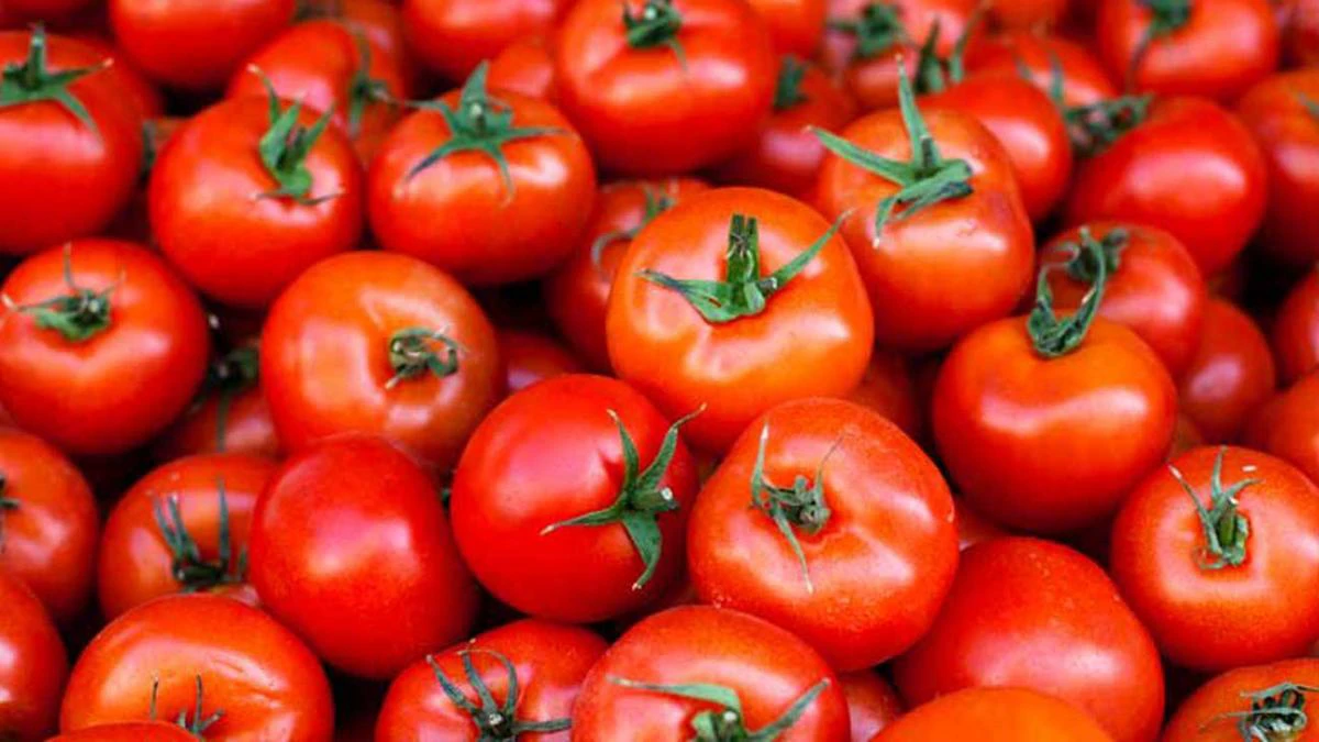 Why tomato prices are increasing in Hyderabad