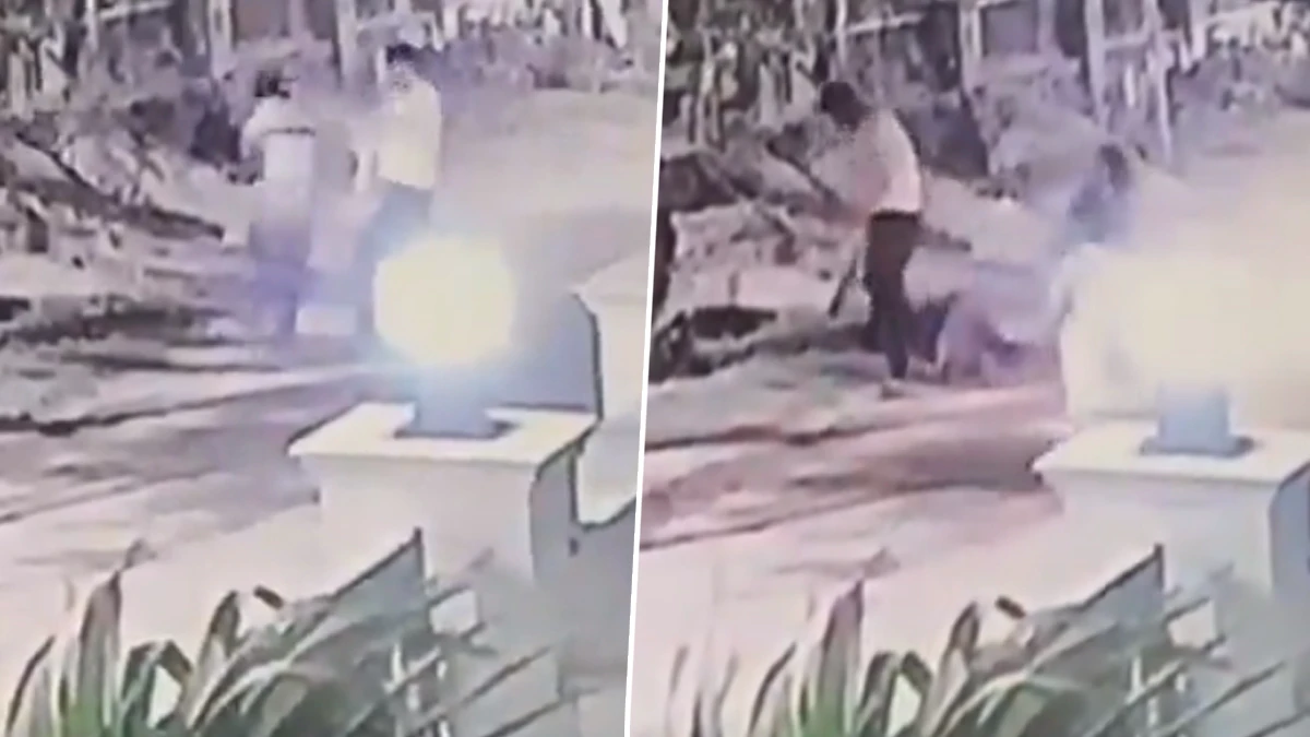 Live Murder Caught on Camera in Jaipur: Police Inspector's Son Beats Man to Death With Cricket Bat in Broad Daylight, Disturbing Video Surfaces