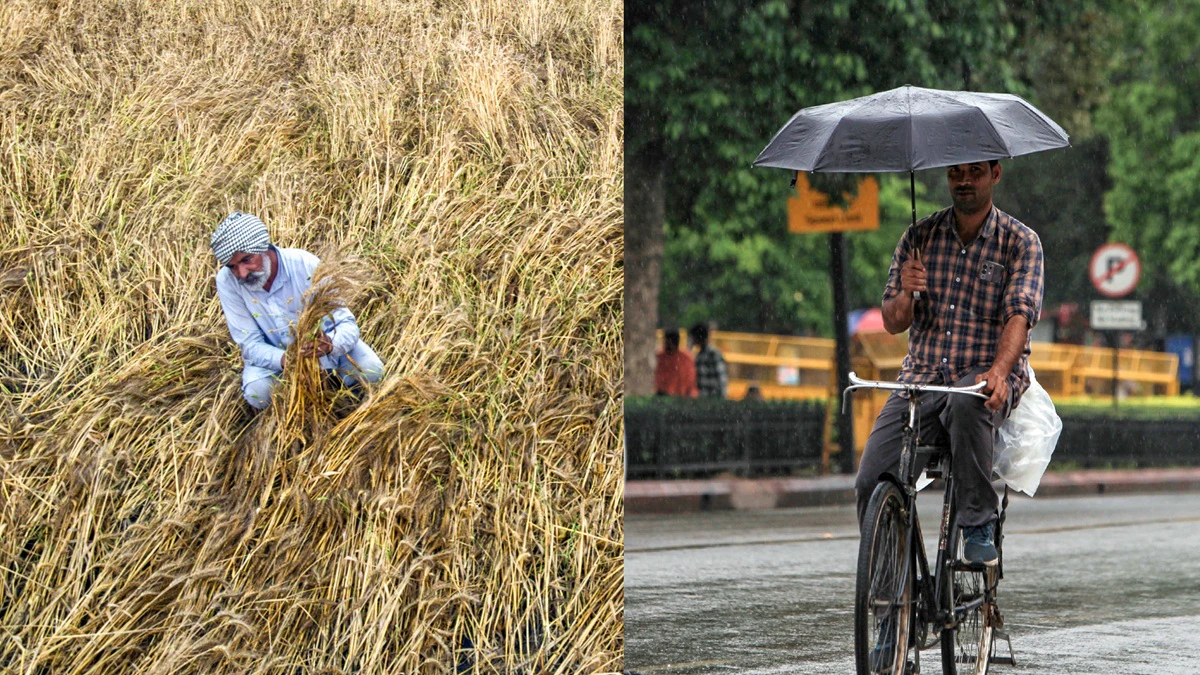 उत्तर भारत में कुदरत का कहर बारिश और ओलावृष्टि से फसलों को भारी नुकसान और विमान सेवाएं बाधित