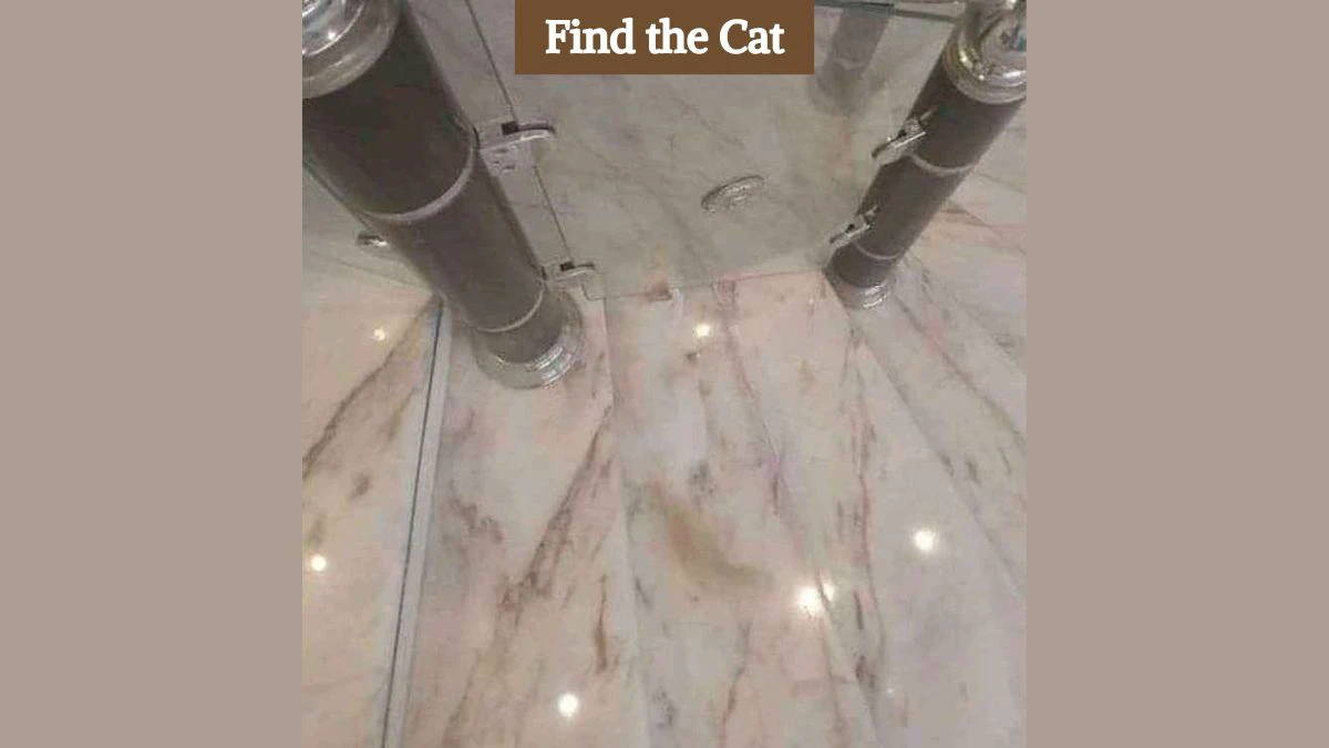 You have eagle eyes if you can spot the hidden cat in 4 seconds!