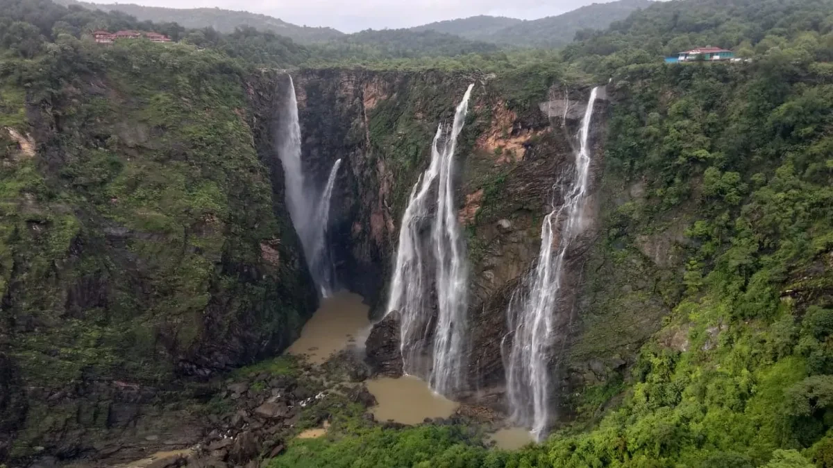 ಮಲೆನಾಡಲ್ಲಿ ಮಳೆಯ ಅಬ್ಬರ; ಕೈ ಬೀಸಿ ಕರೆಯುತ್ತಿದೆ ಜೋಗ ಜಲಪಾತ