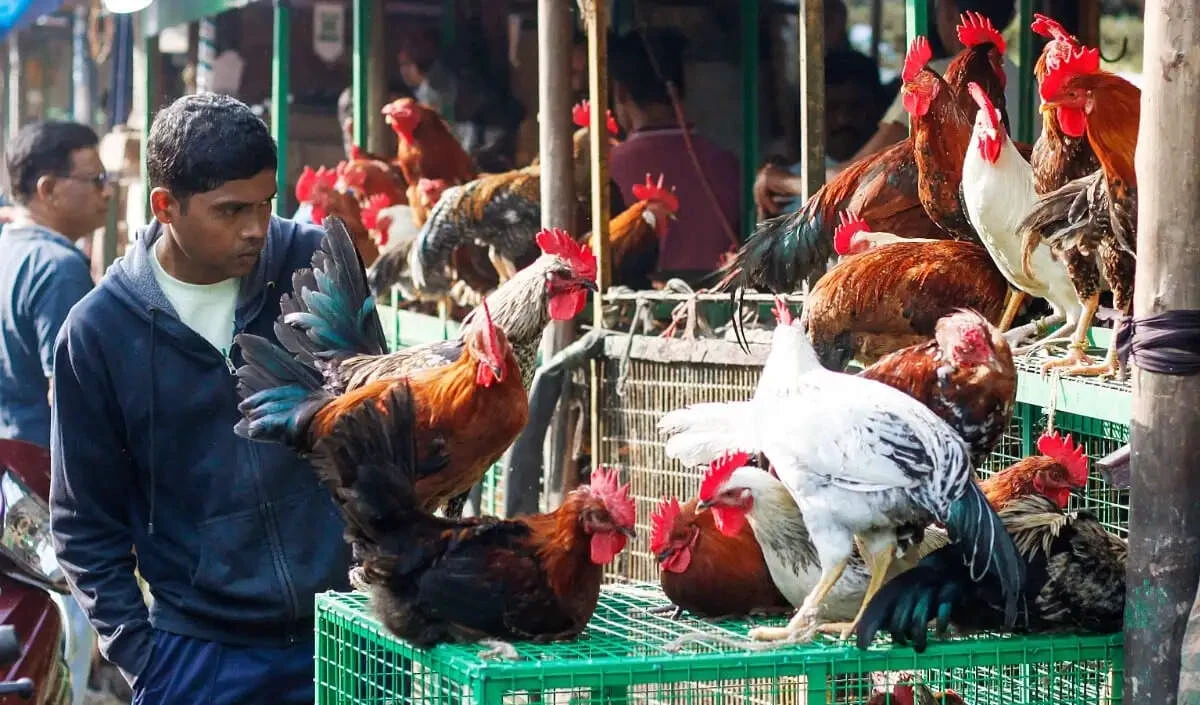 हरिद्वार में अब नहीं बिकेगा खुला मांस नगर निगम ने दुकानों को शहर से बाहर भेजने का लिया बड़ा फैसला