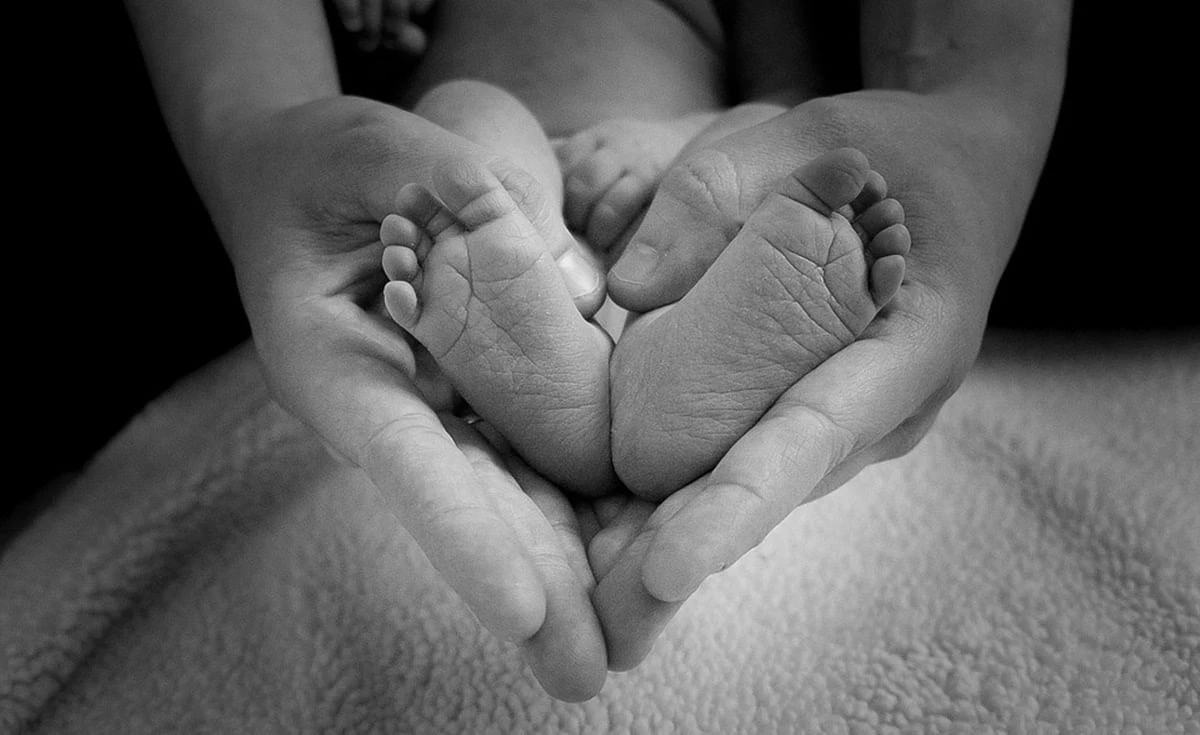 Motherhood without pain - the surrogacy debate
