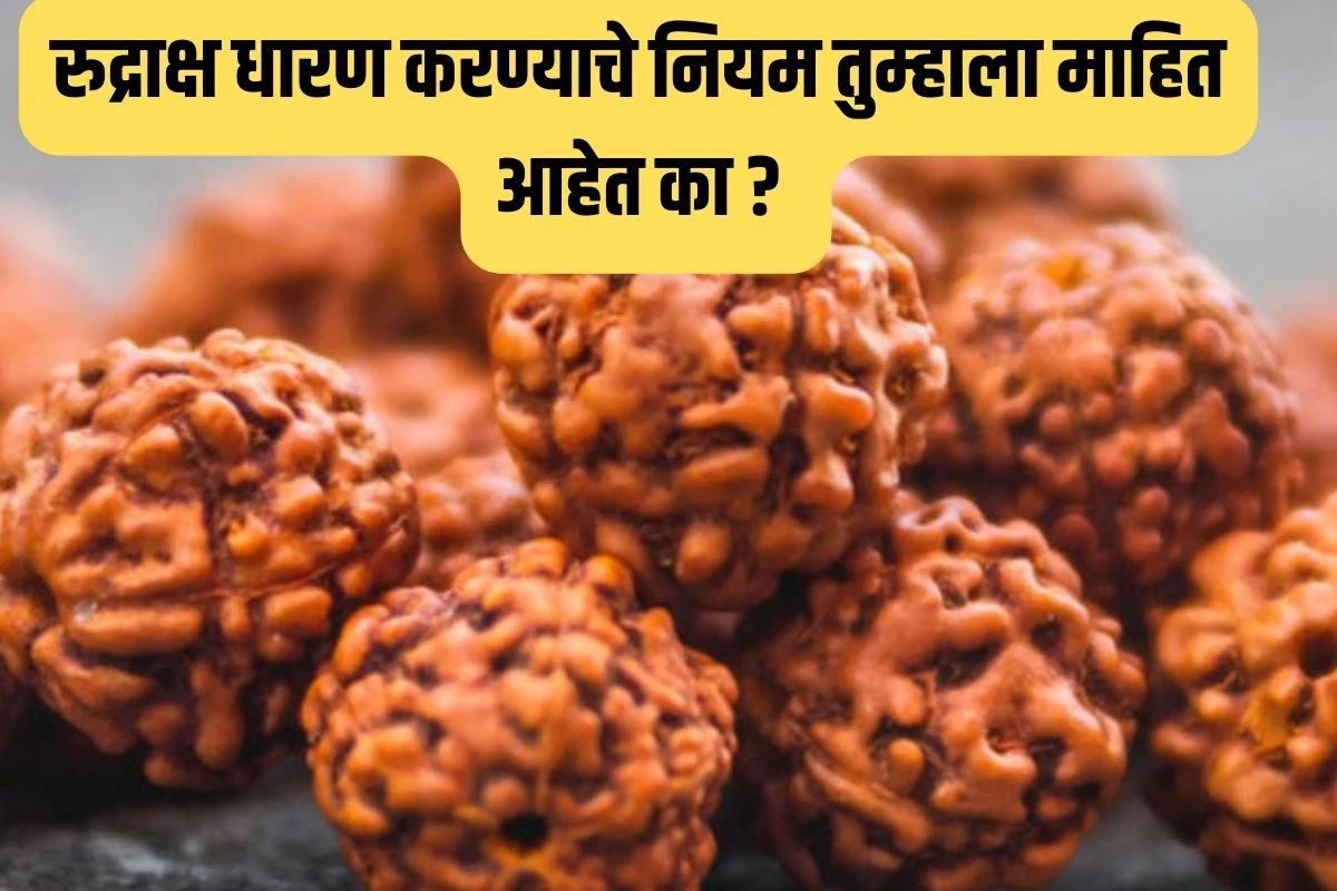 रुद्राक्ष धारण करण्याचे नियम तुम्हाला माहित आहेत का ?