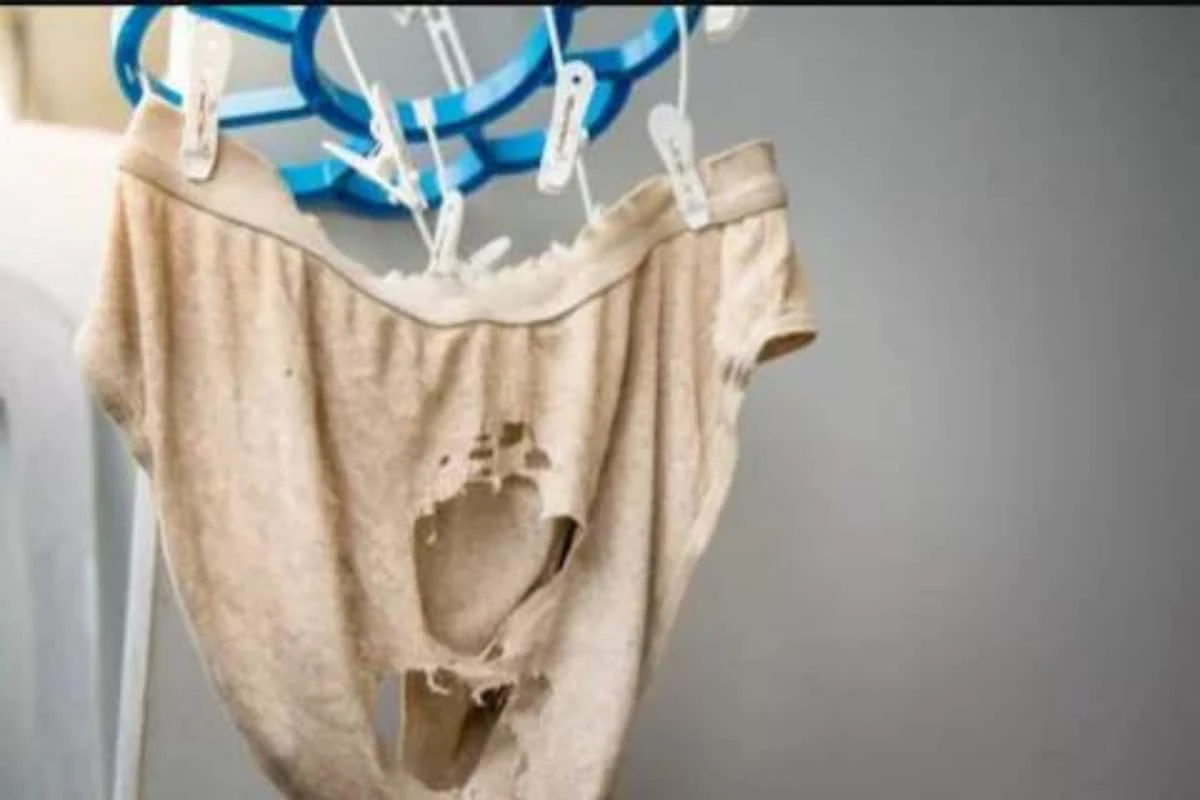 Do Undergarments Have an Expiry Date? Experts Answer